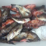 20130320DSC_0217.jpg