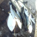 IMG_20160126_143544351.jpg