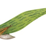 20_k_keikoucucumber_2.jpg