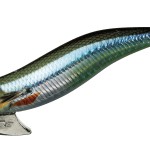 laserkibinago_2.jpg