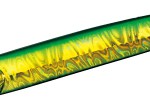 05_MGgreengold_2.jpg