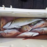 DSC_0110_2.JPG